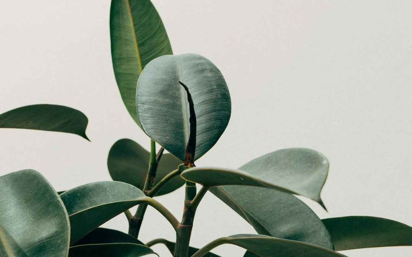 Mindful planning aesthetic workspace and guided journal by Swervve